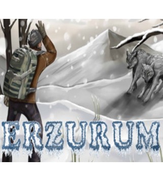 Erzurum Steam Key GLOBAL